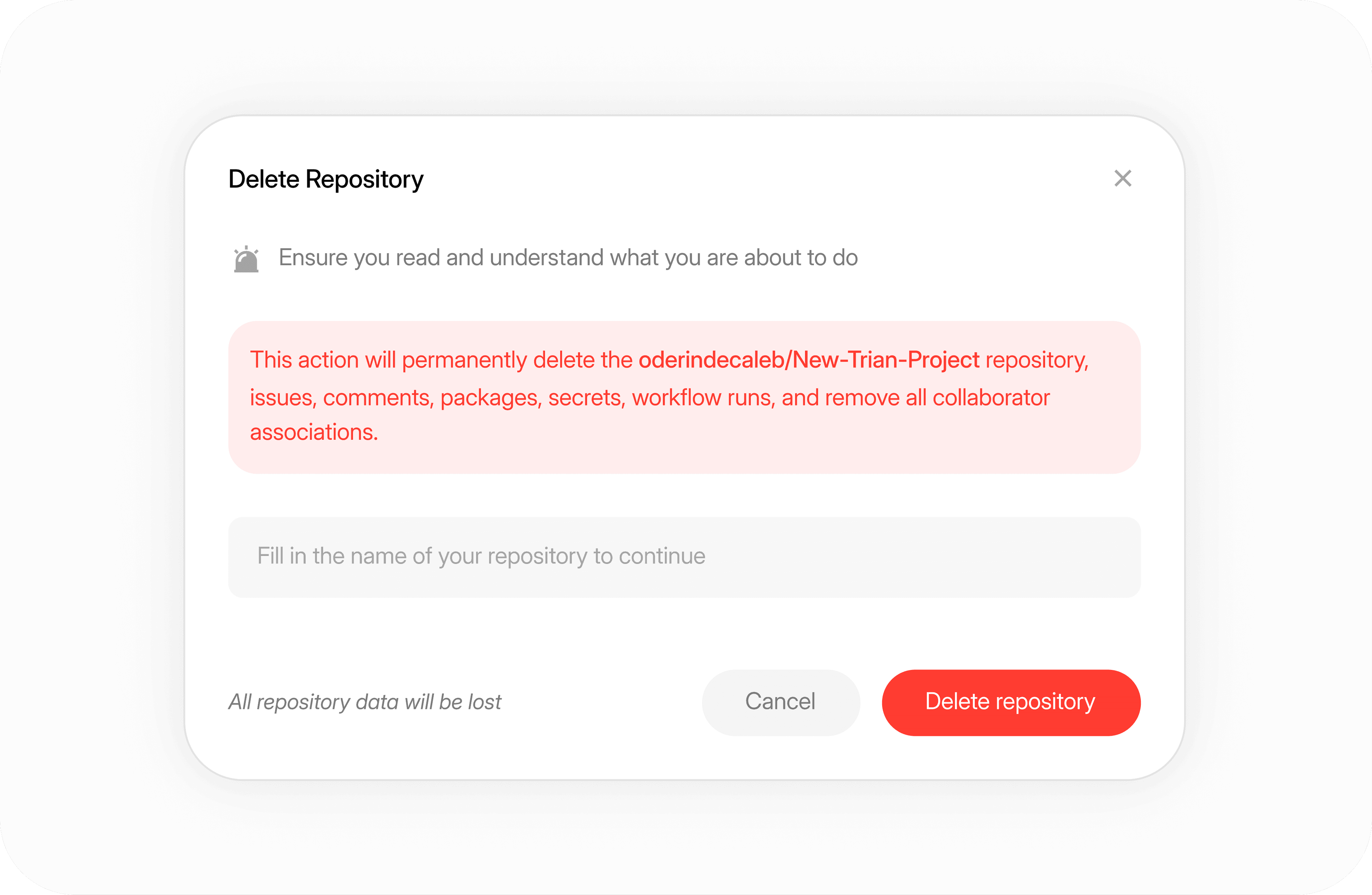 Delete Repository